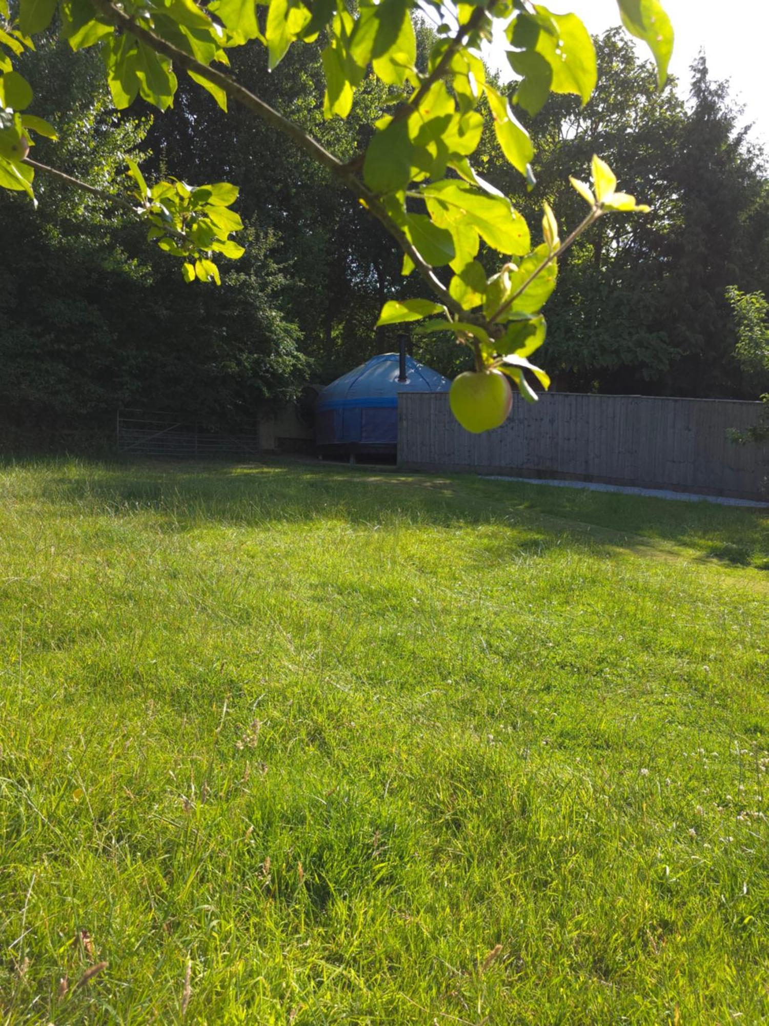 Orchard View Yurt & Hot Tub Somerset เวสตัน-ซูเปอร์-แมร์ ภายนอก รูปภาพ